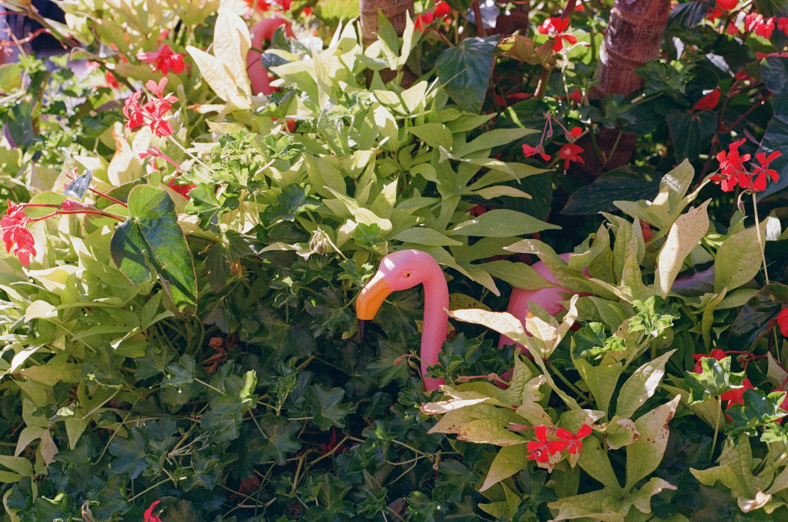 Save the Date: Führung über die Landesgartenschau Neuss